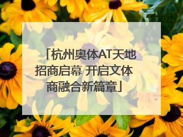 杭州奥体AT天地招商启幕 开启文体商融合新篇章