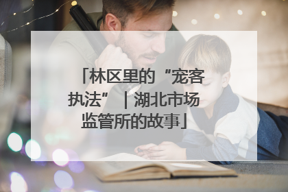 林区里的“宠客执法”｜湖北市场监管所的故事