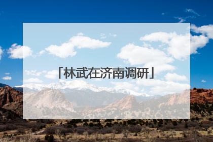 林武在济南调研