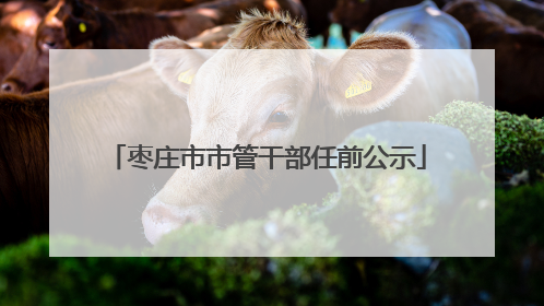 枣庄市市管干部任前公示