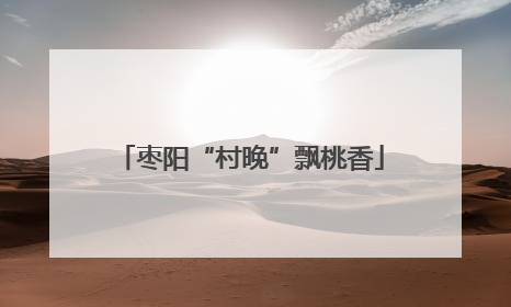 枣阳“村晚”飘桃香