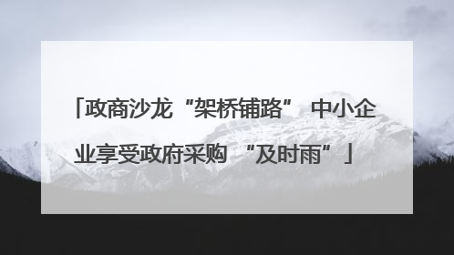 政商沙龙“架桥铺路” 中小企业享受政府采购 “及时雨”