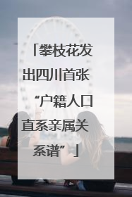 攀枝花发出四川首张“户籍人口直系亲属关系谱”