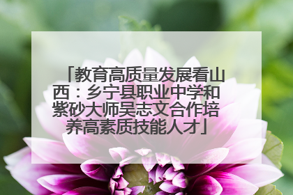 教育高质量发展看山西：乡宁县职业中学和紫砂大师吴志文合作培养高素质技能人才