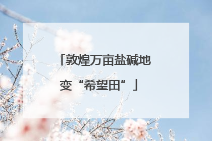 敦煌万亩盐碱地变“希望田”