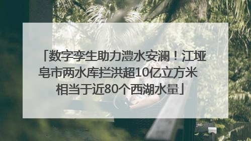 数字孪生助力澧水安澜！江垭皂市两水库拦洪超10亿立方米 相当于近80个西湖水量