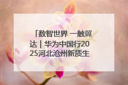 数智世界 一触冀达｜华为中国行2025河北沧州新质生产力峰会成功举办
