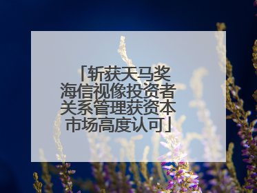 斩获天马奖 海信视像投资者关系管理获资本市场高度认可