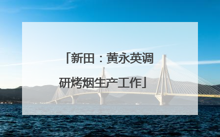 新田：黄永英调研烤烟生产工作