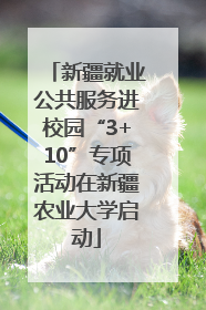 新疆就业公共服务进校园“3+10”专项活动在新疆农业大学启动
