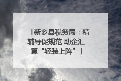 新乡县税务局：精辅导促规范 助企汇算“轻装上阵”