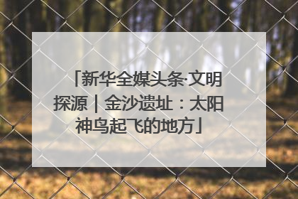 新华全媒头条·文明探源｜金沙遗址：太阳神鸟起飞的地方