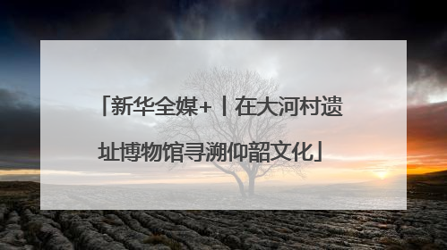 新华全媒+丨在大河村遗址博物馆寻溯仰韶文化