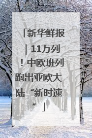 新华鲜报｜11万列！中欧班列跑出亚欧大陆“新时速”
