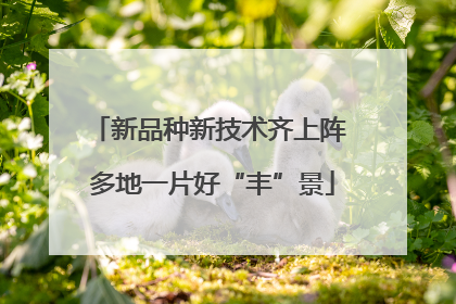 新品种新技术齐上阵 多地一片好“丰”景