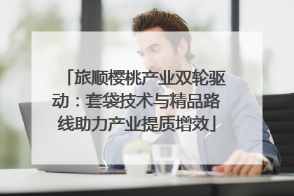 旅顺樱桃产业双轮驱动：套袋技术与精品路线助力产业提质增效