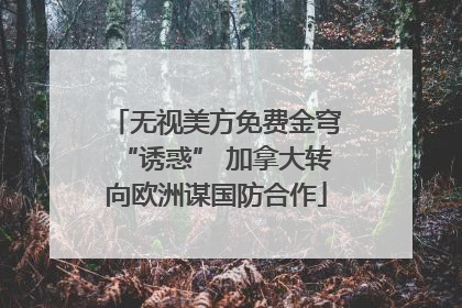 无视美方免费金穹“诱惑” 加拿大转向欧洲谋国防合作