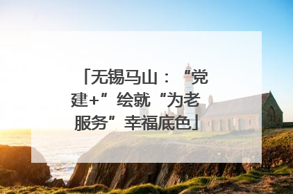 无锡马山：“党建+”绘就“为老服务”幸福底色