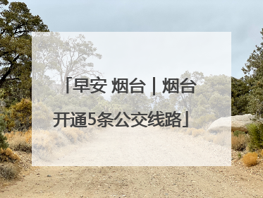 早安 烟台｜烟台开通5条公交线路