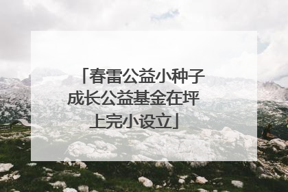 春雷公益小种子成长公益基金在坪上完小设立