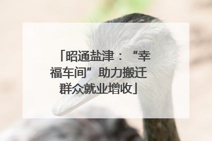 昭通盐津：“幸福车间”助力搬迁群众就业增收