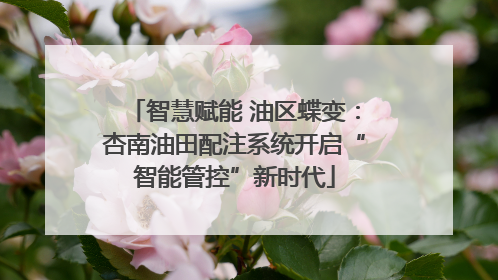 智慧赋能 油区蝶变：杏南油田配注系统开启“智能管控”新时代