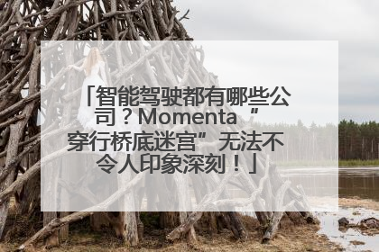 智能驾驶都有哪些公司？Momenta“穿行桥底迷宫”无法不令人印象深刻！