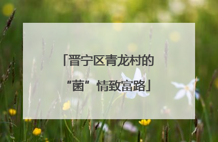晋宁区青龙村的“菌”情致富路