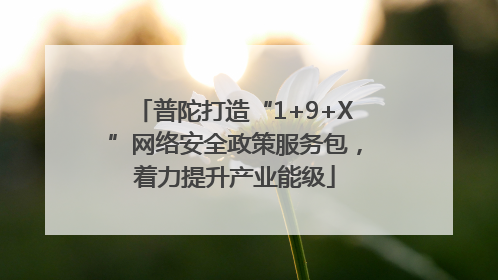 普陀打造“1+9+X”网络安全政策服务包，着力提升产业能级