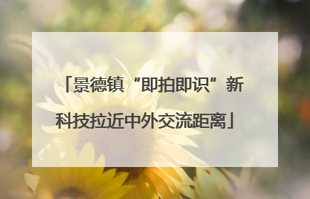 景德镇“即拍即识”新科技拉近中外交流距离