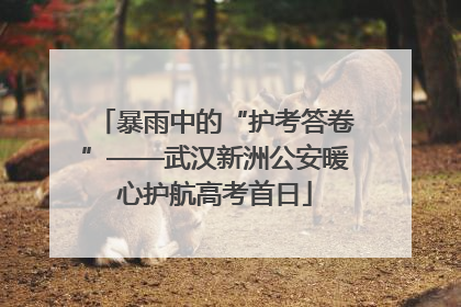 暴雨中的“护考答卷”——武汉新洲公安暖心护航高考首日