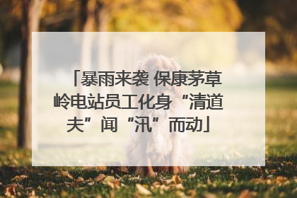 暴雨来袭 保康茅草岭电站员工化身“清道夫”闻“汛”而动