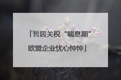 暂居关税“喘息期” 欧盟企业忧心忡忡