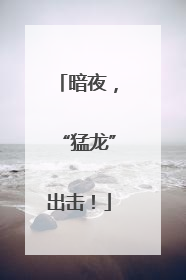 暗夜，“猛龙”出击！