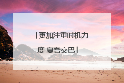 更加注重时机力度 夏吾交巴