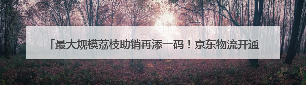 最大规模荔枝助销再添一码！京东物流开通“深圳-武汉-西安” 荔枝全货机航线