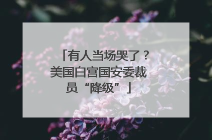 有人当场哭了？美国白宫国安委裁员“降级”