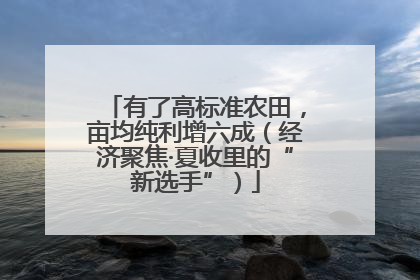 有了高标准农田，亩均纯利增六成（经济聚焦·夏收里的“新选手”）