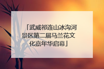 武威祁连山冰沟河景区第二届马兰花文化嘉年华启幕