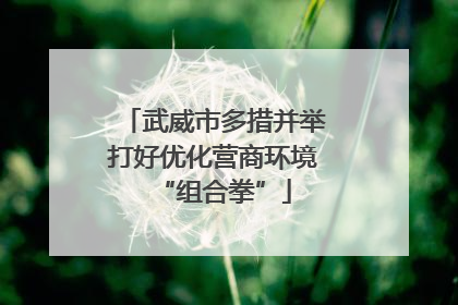 武威市多措并举打好优化营商环境“组合拳”