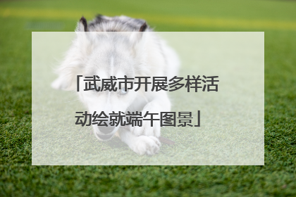 武威市开展多样活动绘就端午图景