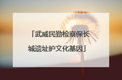武威民勤检察保长城遗址护文化基因