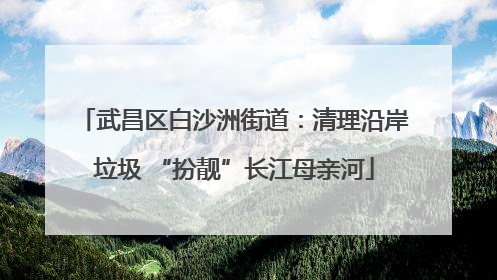 武昌区白沙洲街道：清理沿岸垃圾 “扮靓”长江母亲河