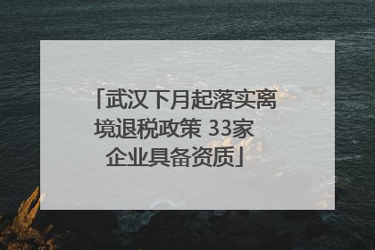 武汉下月起落实离境退税政策 33家企业具备资质
