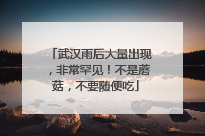 武汉雨后大量出现，非常罕见！不是蘑菇，不要随便吃