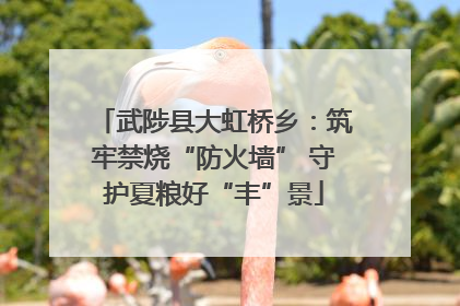武陟县大虹桥乡：筑牢禁烧“防火墙” 守护夏粮好“丰”景