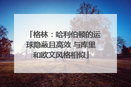 格林：哈利伯顿的运球隐蔽且高效 与库里和欧文风格相似
