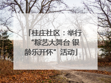桂庄社区：举行“粽艺大舞台 银龄乐开怀”活动