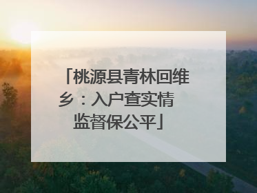 桃源县青林回维乡：入户查实情 监督保公平