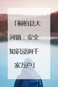 桐柏县大河镇：安全知识浸润千家万户